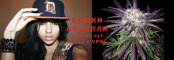 индика Михайловск