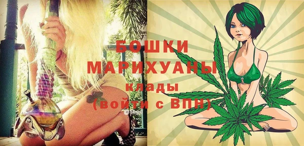индика Михайловск