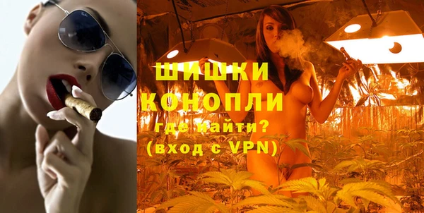 МДПВ Михайлов