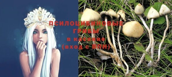 хмурый Алексеевка
